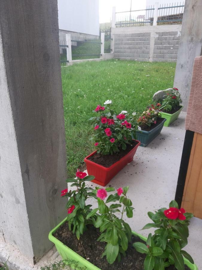Apartments Andriyana Žabljak Extérieur photo